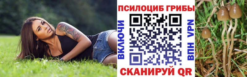 Галлюциногенные грибы GOLDEN TEACHER  Североморск 