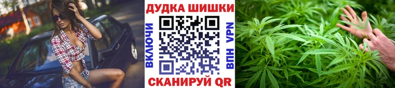 Бошки Шишки планчик  Североморск 